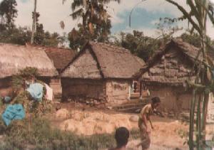 Sinteg's family compound near Ubud on 15th July 1978