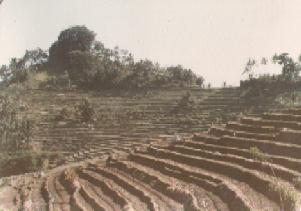 Rice terraces near Besakih on 13th April 1979