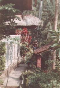 The path from Victor M's bar to rooms at Ubud on 24th October 1982