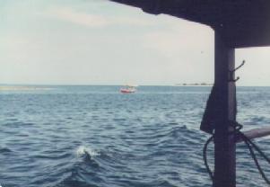 The reef, on the Obelix trip on 5th March 1978