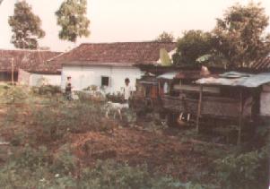 Goathouse at Puncak on 23rd April 1978