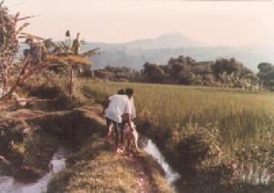 Puncak on 23rd April 1978