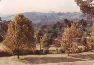 Gardens at a restaurant near Puncak on 22nd April 1978