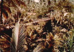 Suspension bridge at Ubud on 15th July 1978