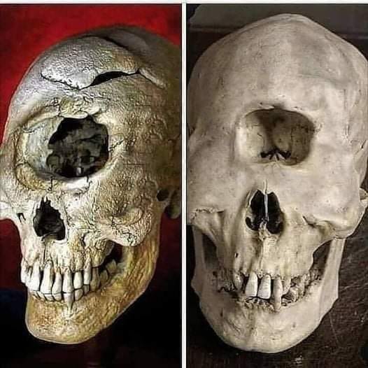 One-eyed-giant-skull-412254534_672428835078287_238723972481999800_n.jpg