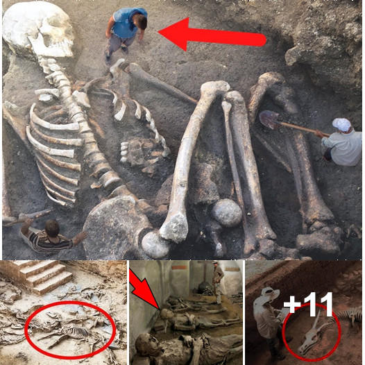 Giant-skeleton-38 6265502_23861093919860300_2951397601964649966_n.jpg