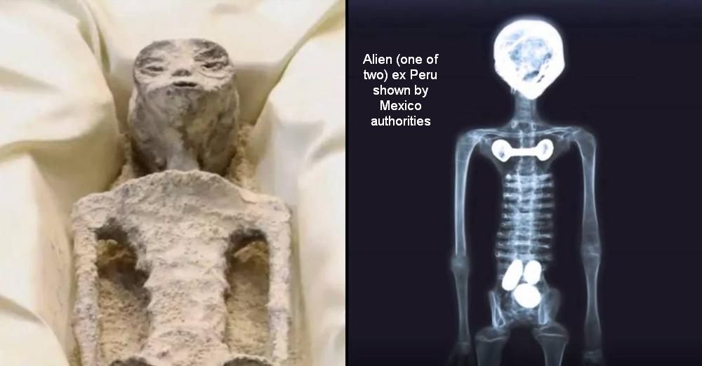 Mexico-aliens-2-mummies-from-Peru-08-13916460226831851931.jpg