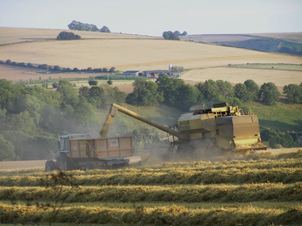 Combine harvester on 6th August 2006